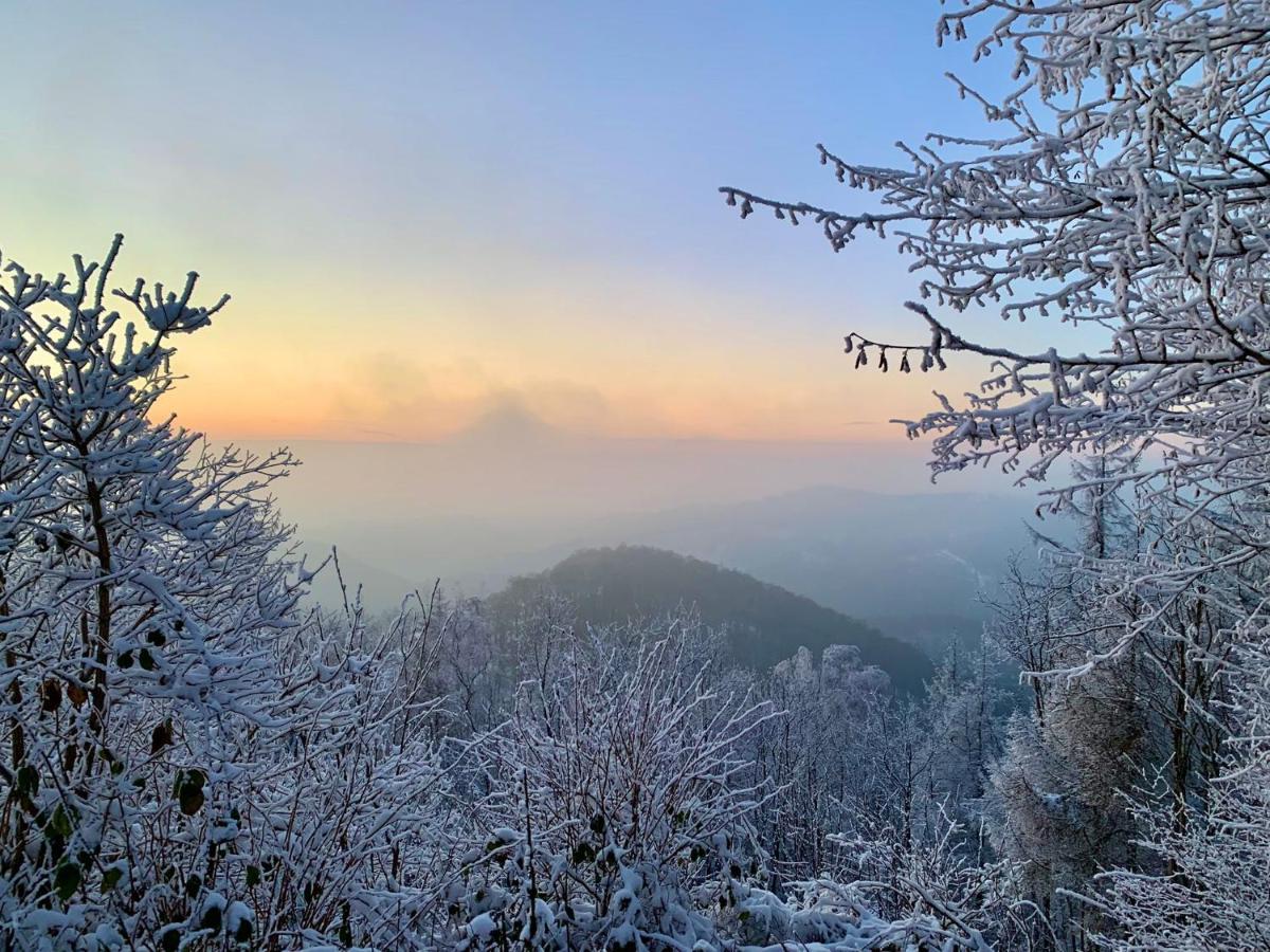 Harz Hotel Und Gaestehaus Am Bornweg Bad Sachsa Zewnętrze zdjęcie