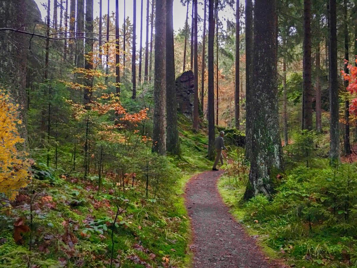 Harz Hotel Und Gaestehaus Am Bornweg Bad Sachsa Zewnętrze zdjęcie