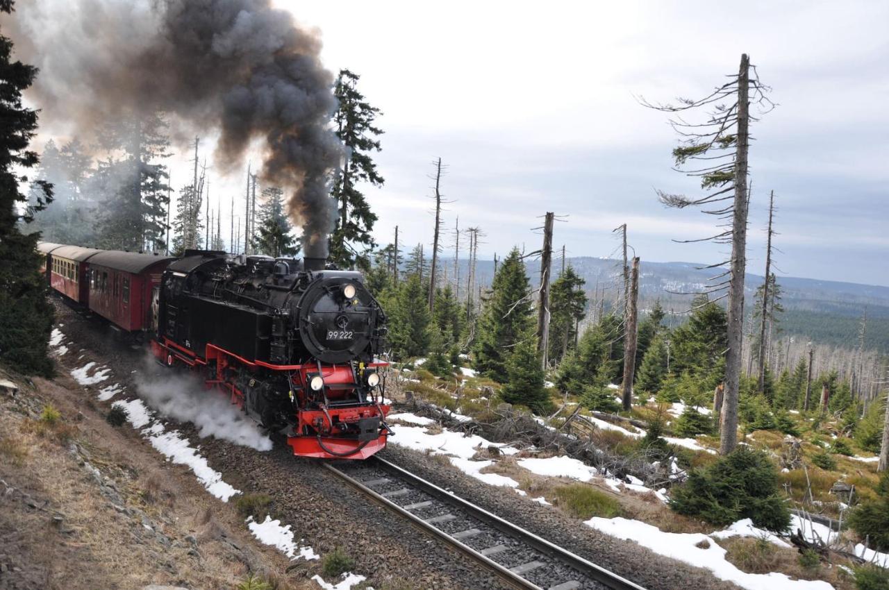 Harz Hotel Und Gaestehaus Am Bornweg Bad Sachsa Zewnętrze zdjęcie